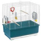 b cage.png b cage.png